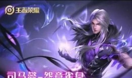 杨新皮肤最新爆料,神秘元素与独特设计惊艳亮相